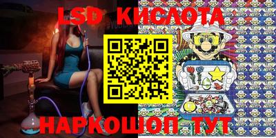 прущие грибы Коммунар