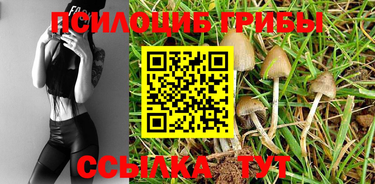 Котлас  Галлюциногенные грибы ЛСД  Вход с VPN 